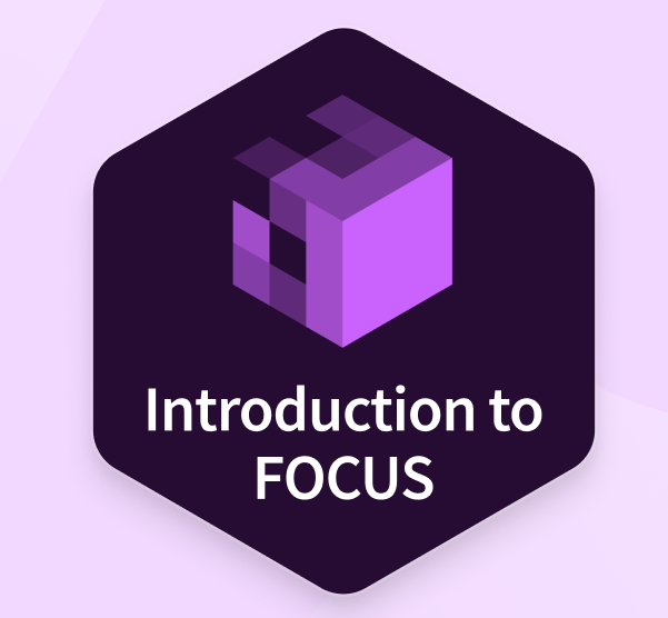 Introduction to FOCUS artwork